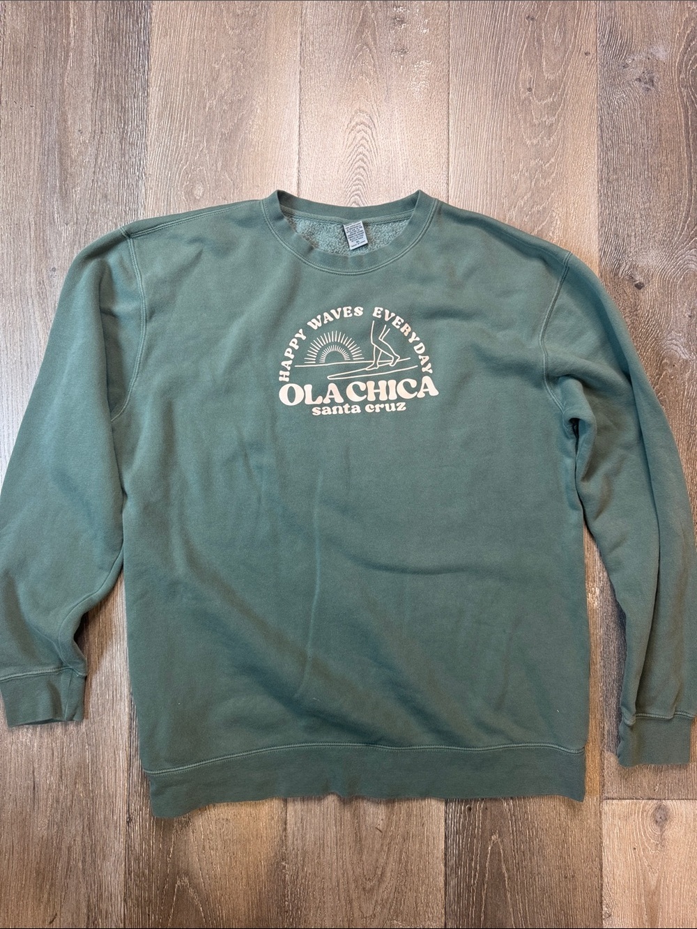 Santa Cruz Crewneck Sweatshirt in Sage Green 0717